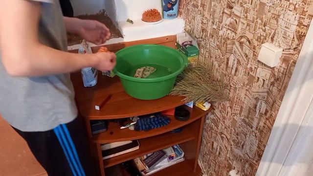 ПРАЗДНОВАНИЯ ДНЯ РОЖДЕНИЯ! КАК ВСЕ ПРОШЛО ? смотреть онлайн