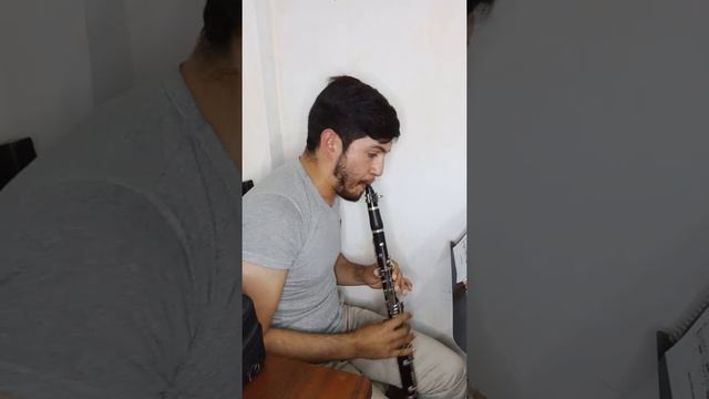 Studio primo Donizetti para Clarinete Solo (Luis Alberto Rangel) смотреть онлайн