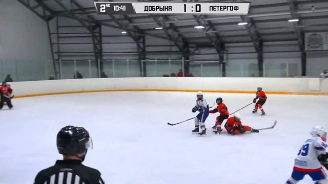 Добрыня 12 - СКА Петергоф 12, 27.01.24, Первенство СПб смотреть онлайн