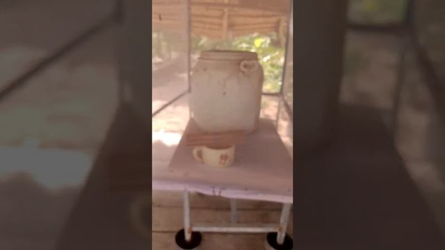 муха чёрная львинка или черный солдат , 2 поколение 30,000 личинок . смотреть онлайн