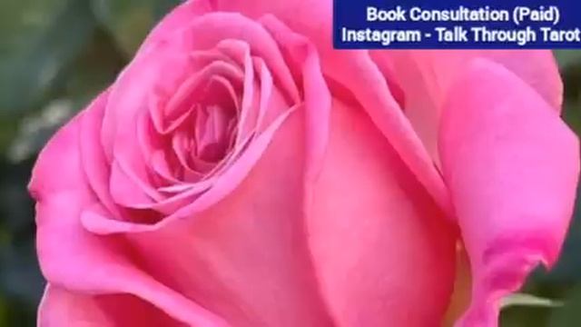 EXTRA MARITAL AFFAIR YA NO CONTACT / SEPARATION - जल्द क्या होगा आप दोनों के बीच смотреть онлайн