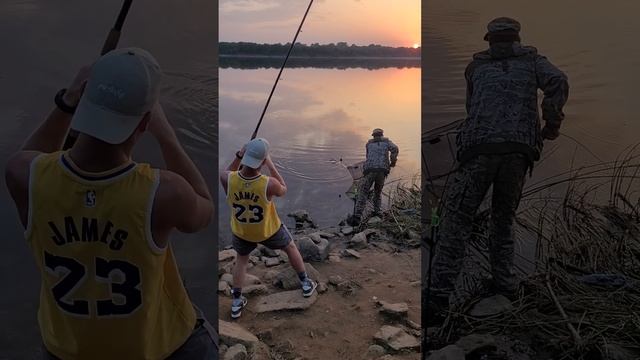 Летняя пора... Паркуем леща, ловим на фидер. #рыбалка #лето #фидер #лешнафидер смотреть онлайн