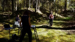 KLANGPHONICS - Dendrometry (Live Melodic House)