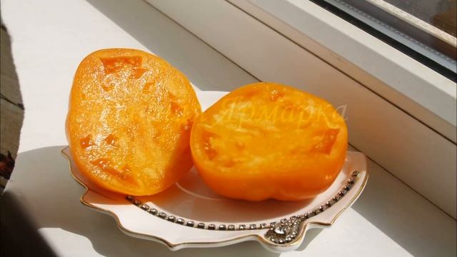 Томаты - тяжеловесы. Самые крупноплодные сорта 2020 г! смотреть онлайн