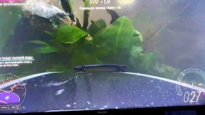 FH5 - Statue Cascadas de Agua Azul - Статуя возле Каскадас-де-Агуа-Асуль. El Camino. Эль Камино