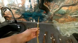 Виноград в Сибири.Часть 2-я, Укоренение черенков.