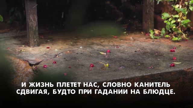 Как много тех, с кем можно лечь в постель. Как мало тех, с кем хочется проснуться… Эдуард Асадов смотреть онлайн