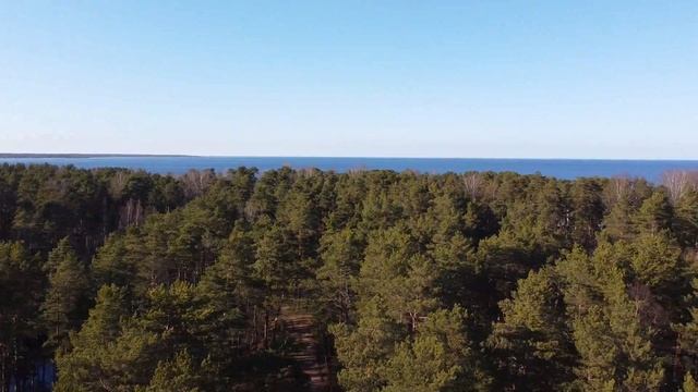 Коккоревский природный заказник смотреть онлайн