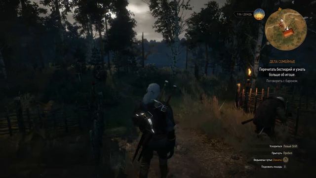 The Witcher 3 Wild Hunt Прохождение Игоша #15 смотреть онлайн
