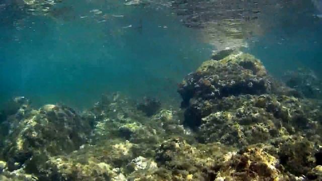 SJ1000 underwater sea snorkeling in Santa Marinella, Italy смотреть онлайн