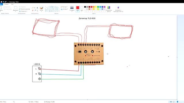 Детектор петель TLD-600