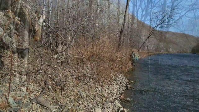 Ленок, р. Мачтовый, Хабаровский край смотреть онлайн