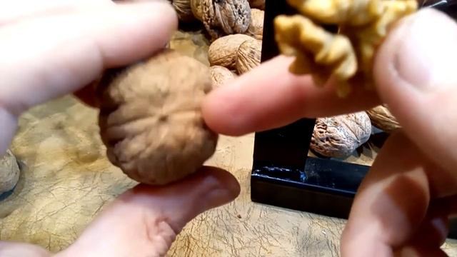 Светлое ядро грецкого ореха Титаниум. Walnuts Broker #ГрецкийОрехВеликан UK
