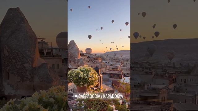 XOLIDAYBOY Vetements 🎉🎉🎉 #xolidayboy #иванржевский смотреть онлайн