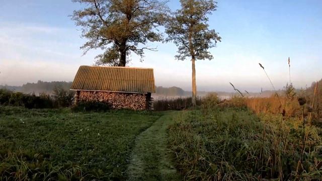 Дорога к озеру морозным осенним утром. Наш хутор в Беларуси. Природа Беларуси. Belarus nature смотреть онлайн