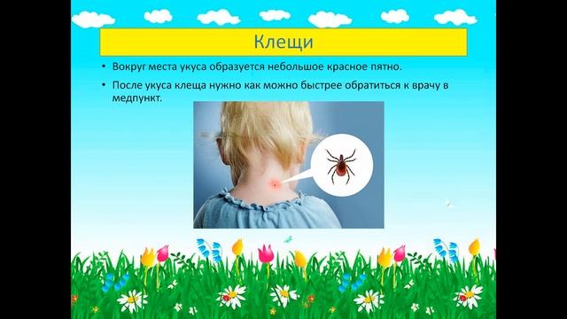 Что нужно знать об укусах насекомых животных смотреть онлайн