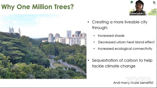 NParks OneMillionTrees Webinar | Greening our nation: Evolution of tree planting in Singapore смотреть онлайн