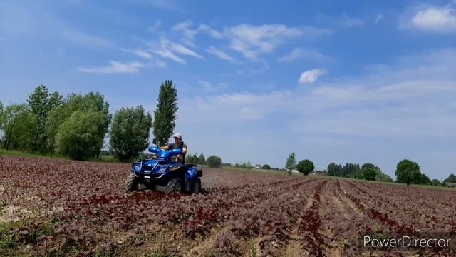 Прополка АМАРАНТА на BRP-400 #амарант #BRP400 смотреть онлайн