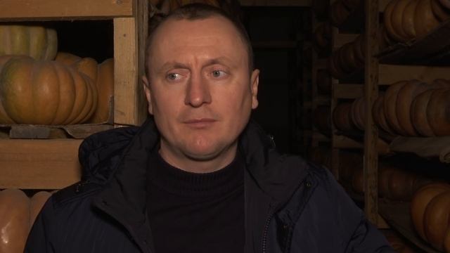 Необычные сорта тыквы, свёклы и моркови в Крыму. 16.01.17 смотреть онлайн