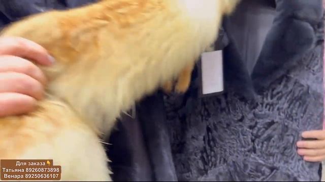 ? ПОПОЛНЕНИЕ КОЛЛЕКЦИИ МОДНЫХ НОРКОВЫХ ШУБ В САЛОНЕ "ДОМ МЕХА У РОМЫ" смотреть онлайн