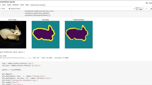 image segmentation example for practice смотреть онлайн
