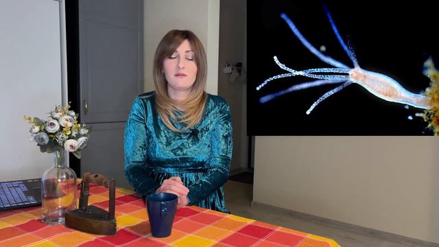 Бессмертие или вечная жизнь. Насколько мы близки? смотреть онлайн