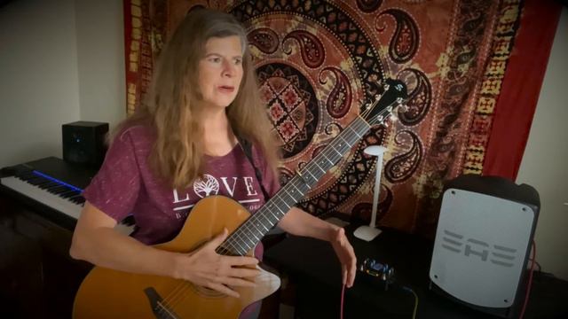 Elite Acoustics StompMix4 Digital Mixer Pedal and P1-8 Battery Powered Mini PA by Michelle Qureshi смотреть онлайн