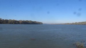 Делика НЕ ЗАВОДИТСЯ! Что делать? Возможные ПРОСТЫЕ причины. С чего начать. 4D56T. Mitsubishi Delica