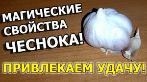 Деревенский ритуал с чесноком на защиту от порчи и колдовства на привлечение удачи