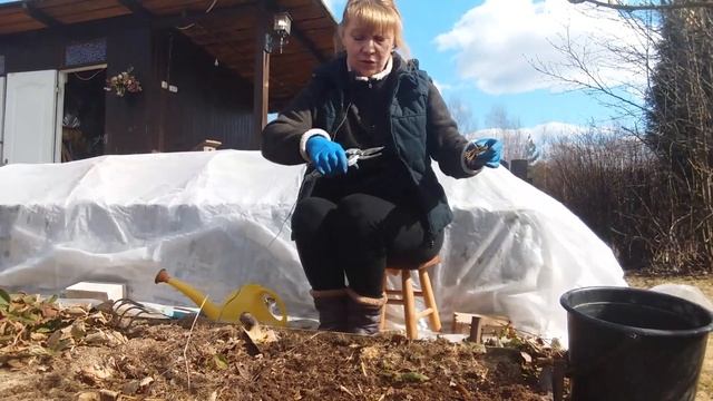 Обработка клубники ранней весной. смотреть онлайн