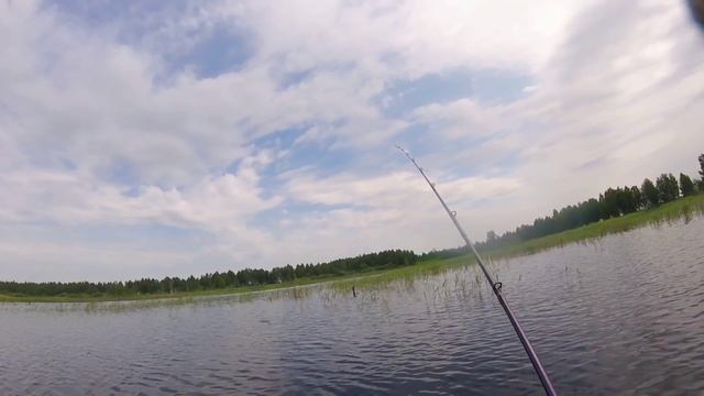 Окуни до килограмма на болотах Беларуси смотреть онлайн