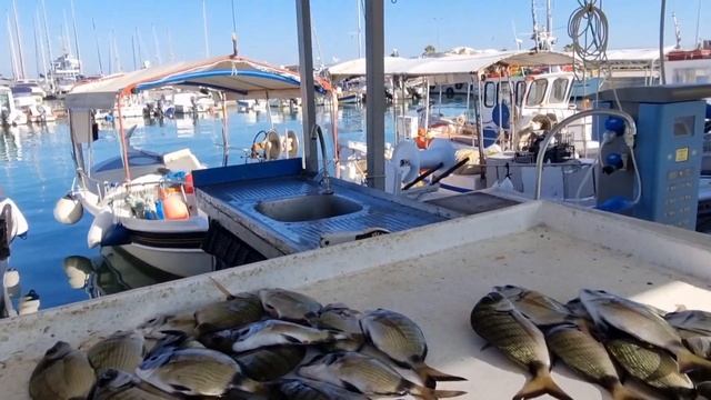 ХОРОШИЙ УЛОВ Рыбный рынок Ретимно Крит / Good catch Fish Market Rethymno Crete 2022 смотреть онлайн