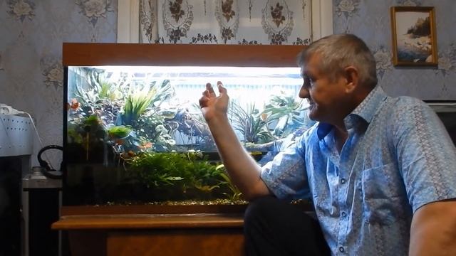 Здоровый аквариум.Основные принципы. смотреть онлайн