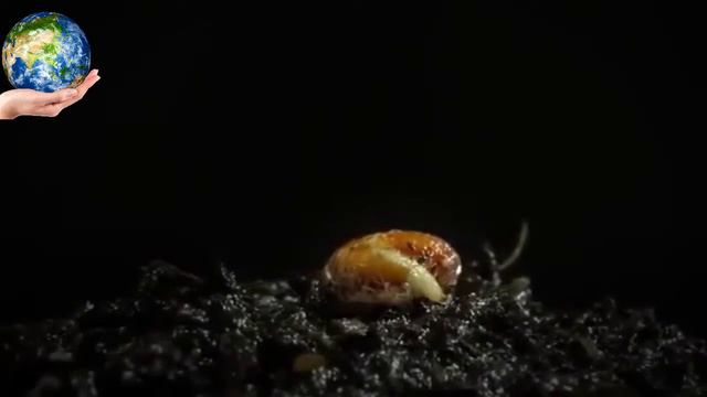 Внеклассное мероприятие «Большой мир» смотреть онлайн