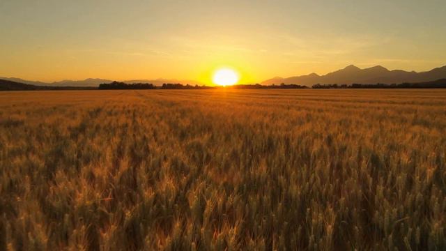 Reflections Over Life - Good Evening From Around The World's Sunset 4K смотреть онлайн