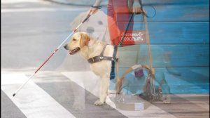 Профессии собак