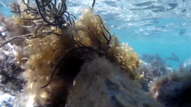 Дальнегорск август 2022 г смотреть онлайн