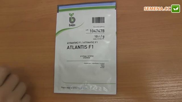 Огірок Атлантіс F1  (Bejo) Антифейк