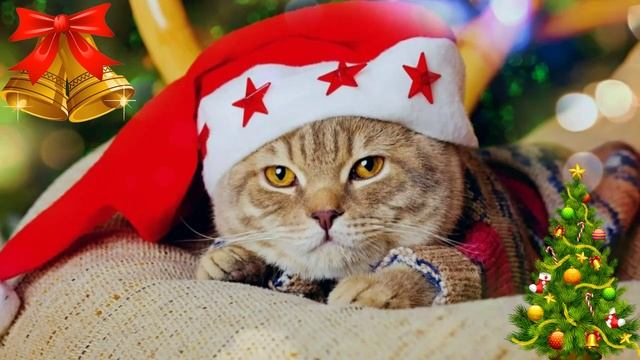 Новогодняя зарисовка! ?? Новогодняя открытка! ?? смотреть онлайн