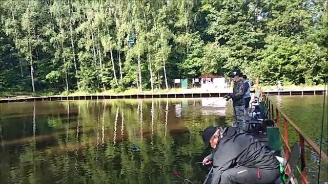 Ловля форели на спорт зоне. Клёвое место лосиный остров смотреть онлайн