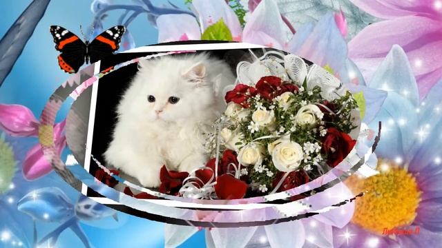 Красивое поздравление с Днем Рождения! смотреть онлайн