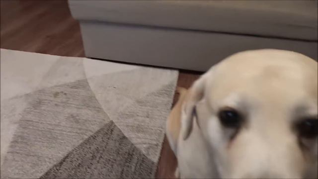 Отвезли в клинику смотреть онлайн