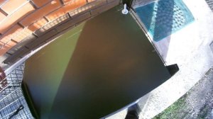 Котоловка. | Принцип работы кошколовки