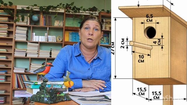 Все о перелетных птицах смотреть онлайн