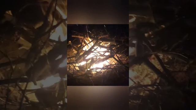 Моцарт, Маленькая Ночная Серенада. смотреть онлайн