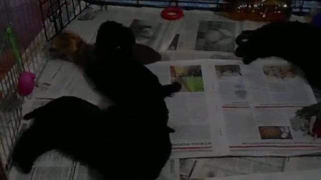 DSCN1474 смотреть онлайн