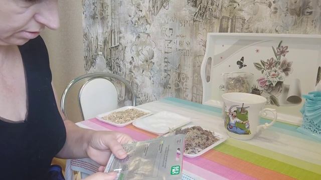 Микрозелень амаранта посев без почвы/НАТАЛИЯ БОС смотреть онлайн