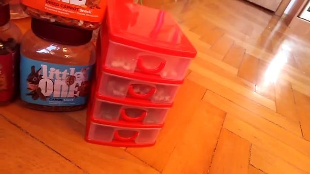 Что любят мои дегу смотреть онлайн