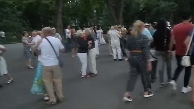 белый лебедь на пруду смотреть онлайн