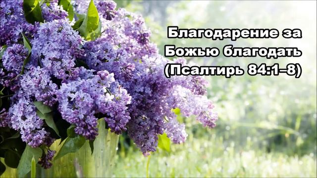 Тихое время с Живой Жизнью: Псалтирь 84 (25052018) смотреть онлайн